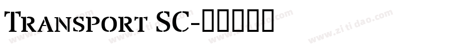 Transport SC字体转换